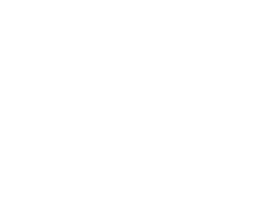 Prasad Metal Company